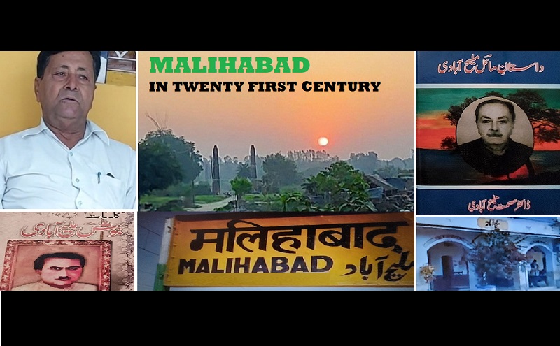 Malihabad  Urdu  Dr Asmat Maliahabadi  Josh Malihabadi  Lucknow  Heritage  Mayel Malihabadi  Asmat Malihabadi  Mangoes  Qasbah