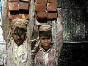 One in 3 child labourers in MP illiterate; education of nearly 3 lakh compromised