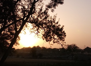 Heat wave sears MP: Bhopal records hottest day in history at 46.7