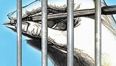 Harrassment of journos in Chhattisgarh: Delhi scribes come out in support