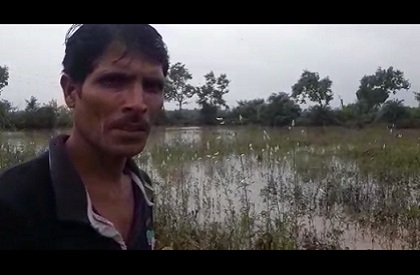 Farmer  Madhya Pradesh  Farmers woes  Fields  Agriculture